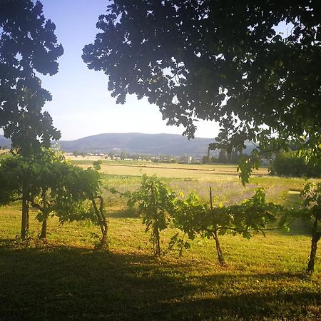 סוביצ'ילה Claudia Vacanza Toscana - Appartamento Melograno -10 Min Da Siena מראה חיצוני תמונה