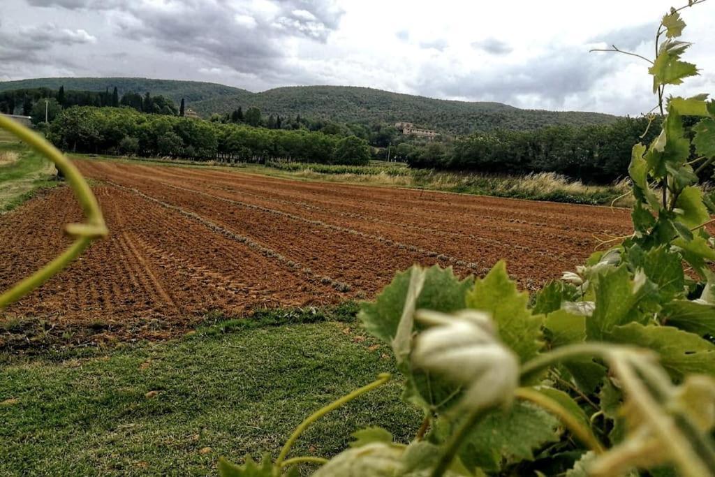 סוביצ'ילה Claudia Vacanza Toscana - Appartamento Melograno -10 Min Da Siena מראה חיצוני תמונה